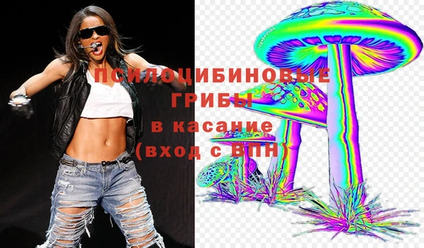 соль курить ск Алзамай