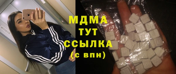 индика Алексин