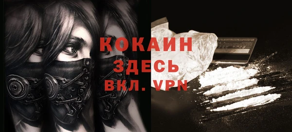 индика Алексин