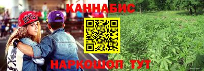 спиды Гусев
