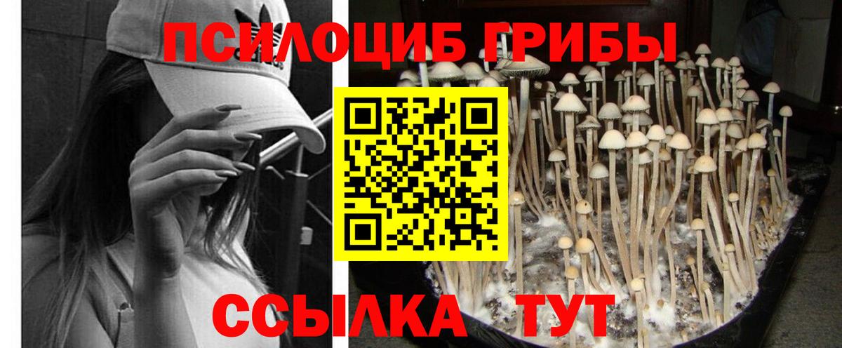 Кыштым  Галлюциногенные грибы прущие грибы  Вход с VPN 